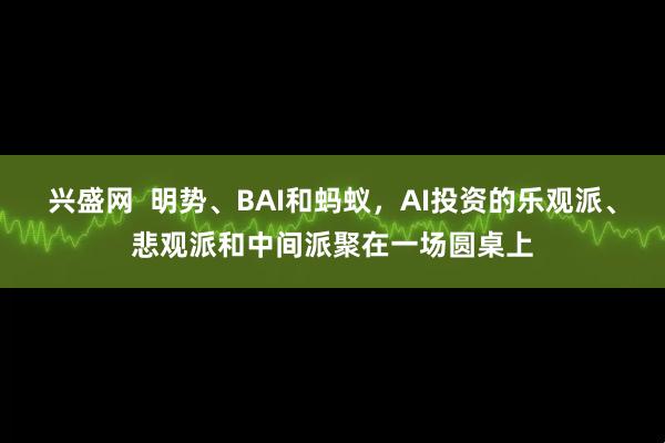 兴盛网  明势、BAI和蚂蚁，AI投资的乐观派、悲观派和中间派聚在一场圆桌上