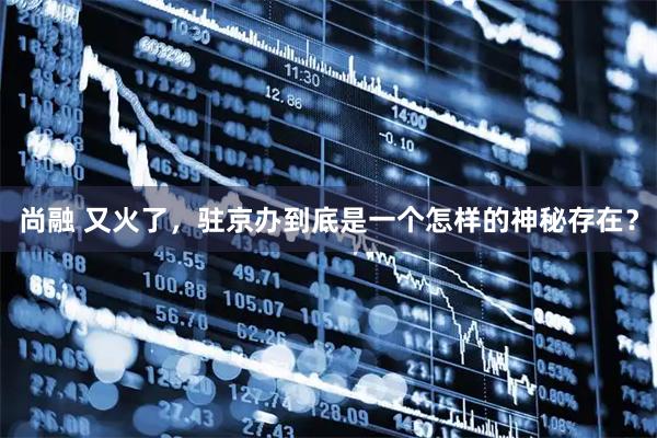 尚融 又火了，驻京办到底是一个怎样的神秘存在？
