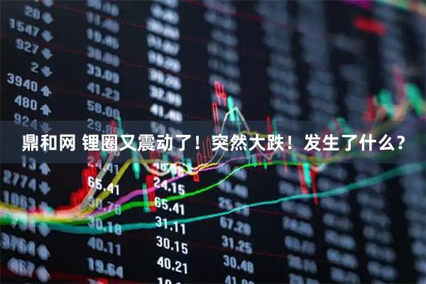鼎和网 锂圈又震动了！突然大跌！发生了什么？