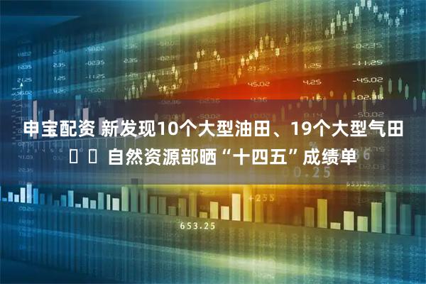 申宝配资 新发现10个大型油田、19个大型气田⋯⋯自然资源部晒“十四五”成绩单