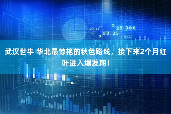 武汉世牛 华北最惊艳的秋色路线，接下来2个月红叶进入爆发期！