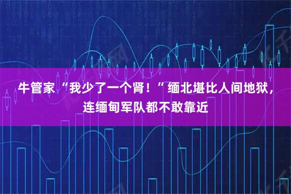 牛管家 “我少了一个肾！”缅北堪比人间地狱，连缅甸军队都不敢靠近