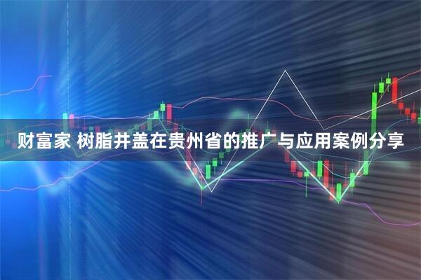 财富家 树脂井盖在贵州省的推广与应用案例分享