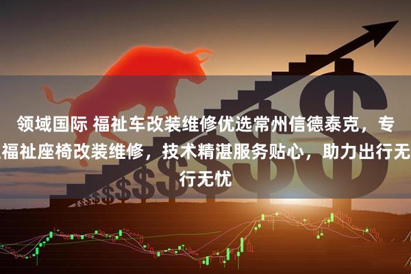 领域国际 福祉车改装维修优选常州信德泰克,专注福祉座椅改装维修,技术精湛服务贴心,助力出行无忧