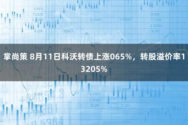 掌尚策 8月11日科沃转债上涨065%,转股溢价率13205%